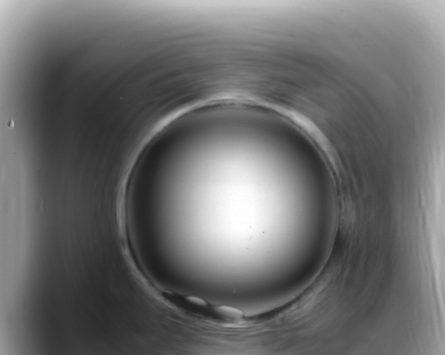 X0000088721295200706071612