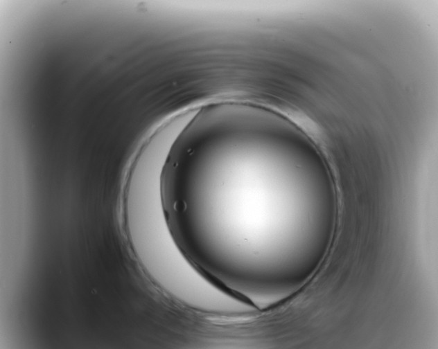 X0000088721296200706071612