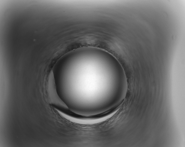 X0000088721297200706071611