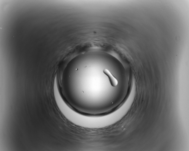 X0000088721298200706071612