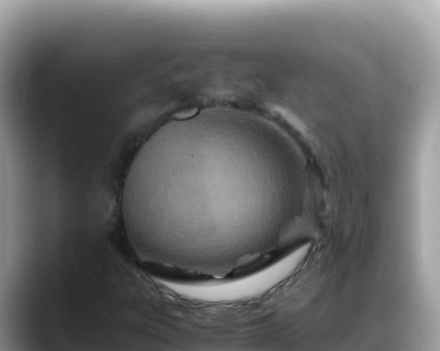 X0000088721303200706071612