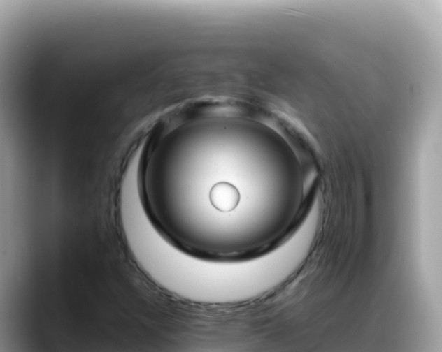 X0000088721304200706071612