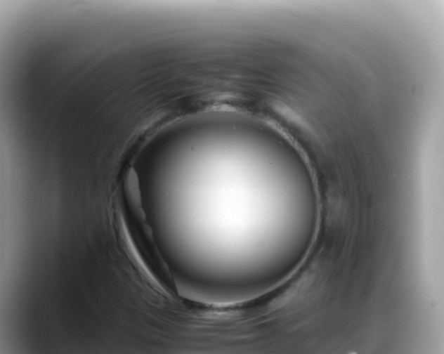 X0000088721305200706071612