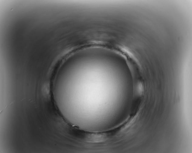 X0000088721307200706071612