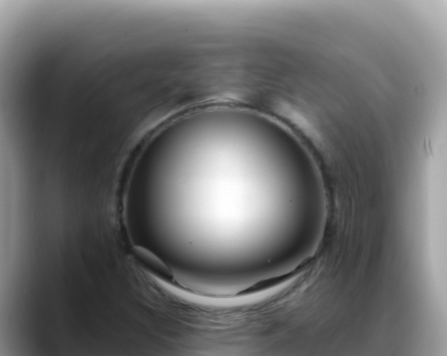 X0000088721308200706071612