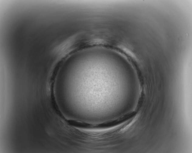 X0000088721309200706071612