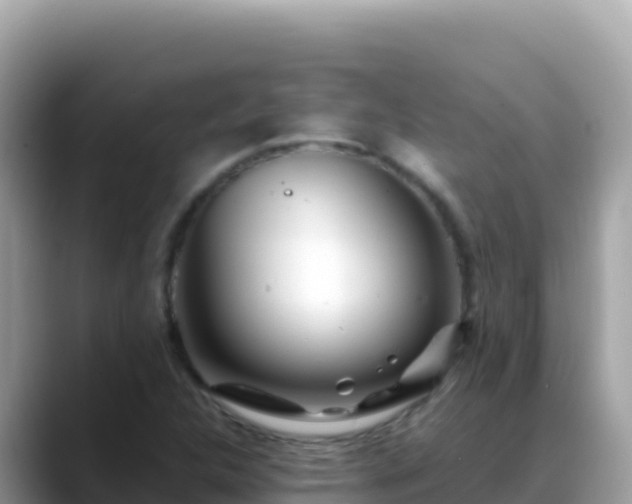 X0000088721312200706071612