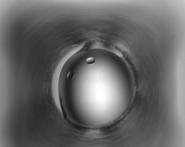 X0000088721313200706071612