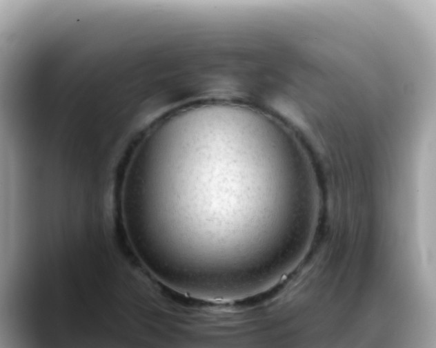 X0000088721315200706071612