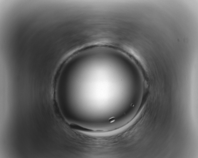 X0000088721316200706071612