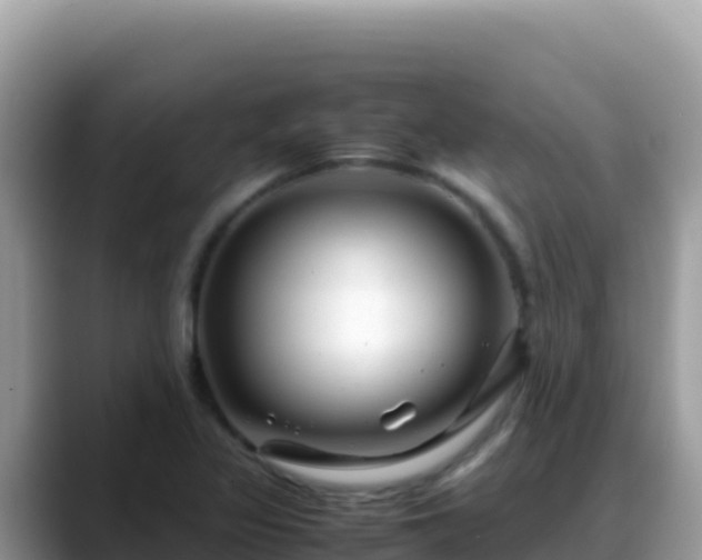 X0000088721317200706071612