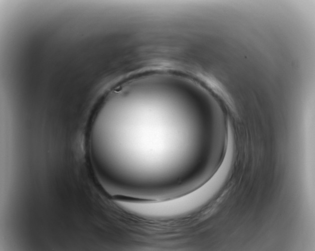 X0000088721318200706071612