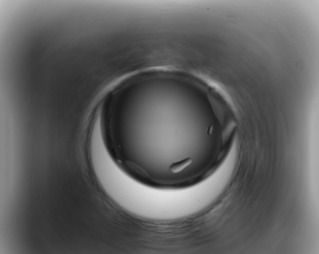 X0000088721319200706071612