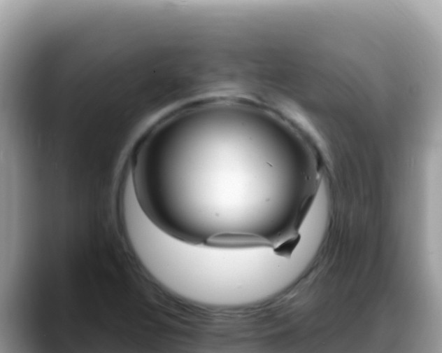 X0000088721320200706071612