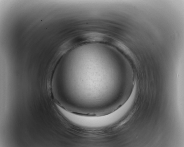 X0000088721321200706071612