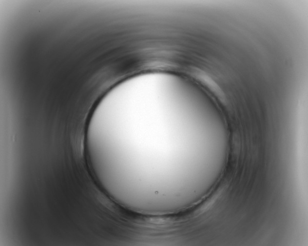 X0000088721322200706071612