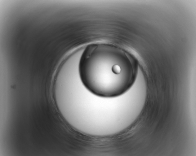 X0000088721324200706071612