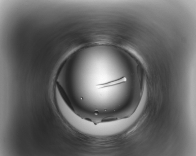 X0000088721325200706071612