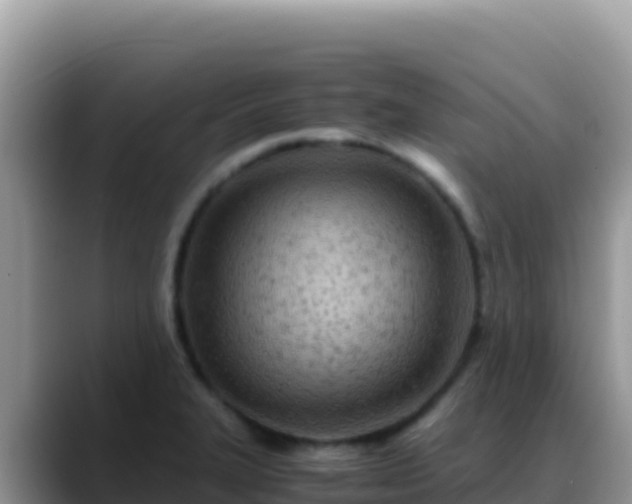 X0000088721327200706071612