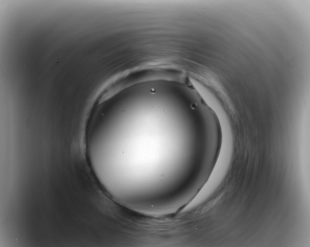 X0000088721328200706071612