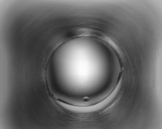 X0000088721329200706071612