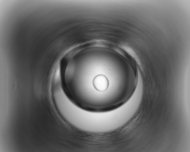 X0000088721331200706071612