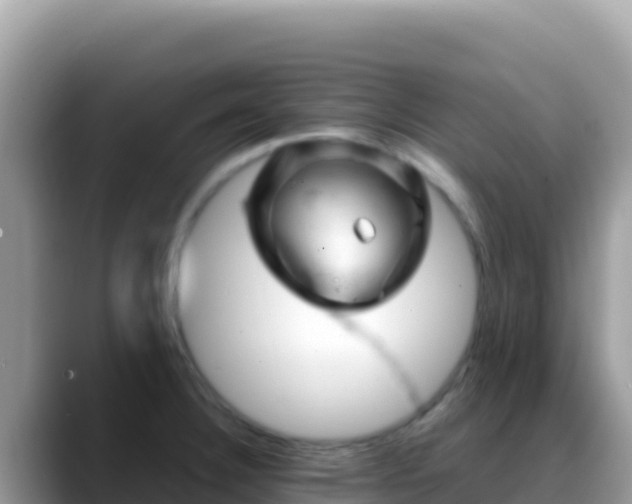 X0000088721332200706071612