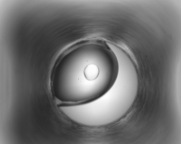 X0000088721336200706071612