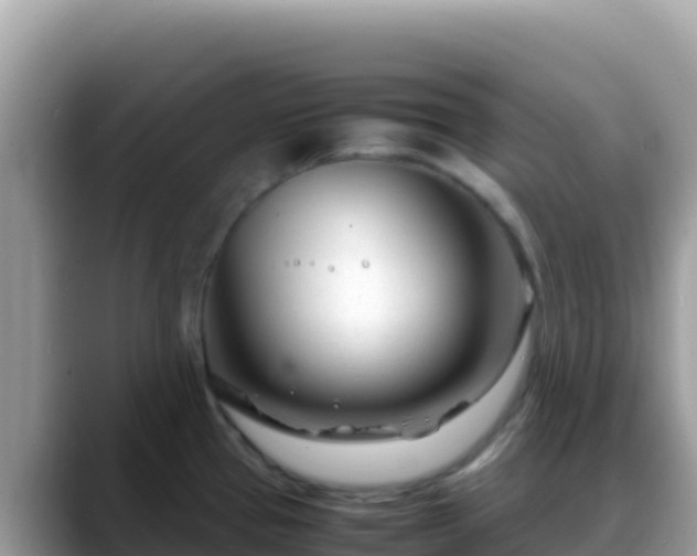 X0000088721337200706071612