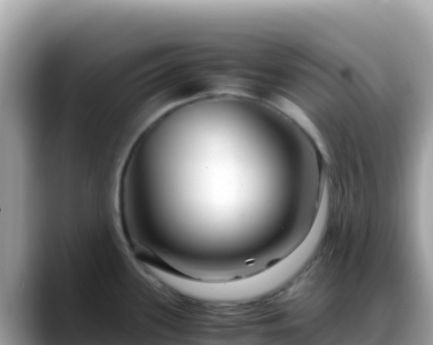 X0000088721339200706071612
