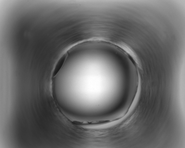 X0000088721340200706071612