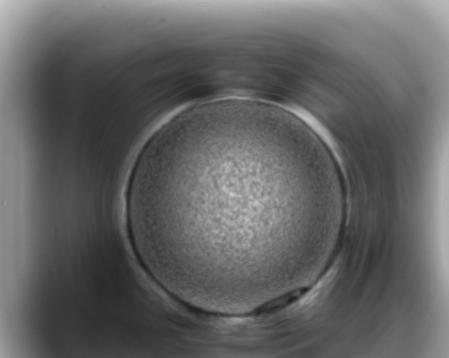 X0000088721341200706071612