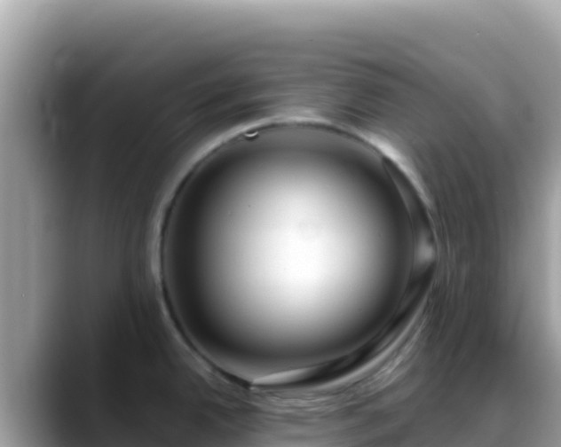 X0000088721342200706071612