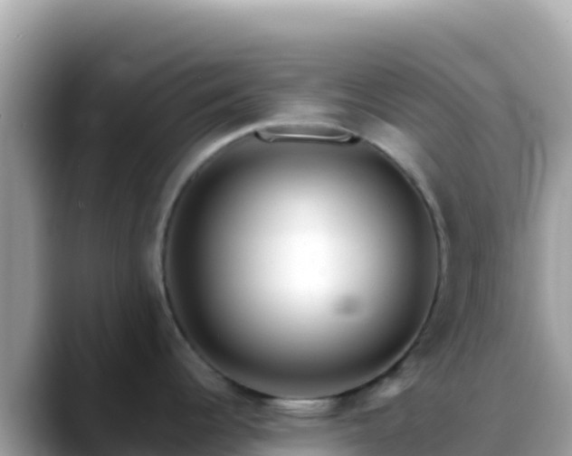 X0000088721344200706071612
