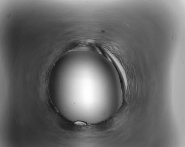 X0000088721345200706071611