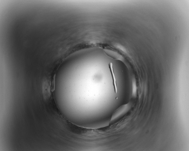 X0000088721348200706071611