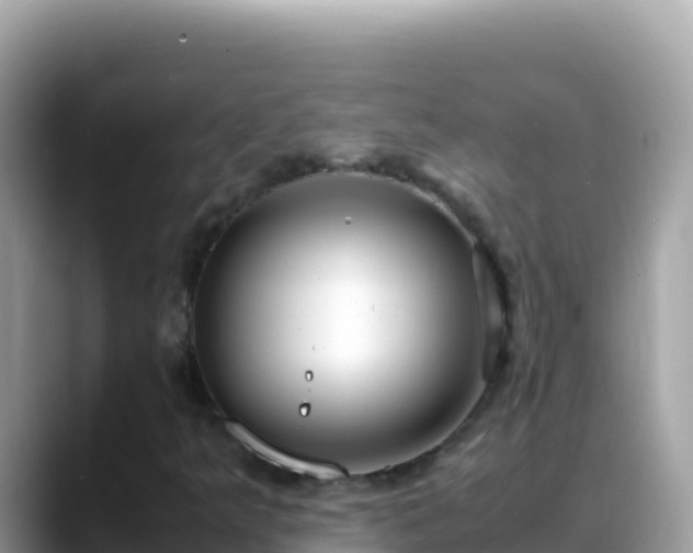 X0000088721349200706071611