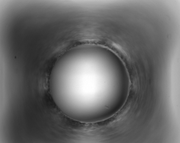 X0000088721350200706071611