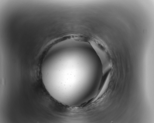 X0000088721352200706071611