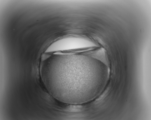 X0000088721354200706071611