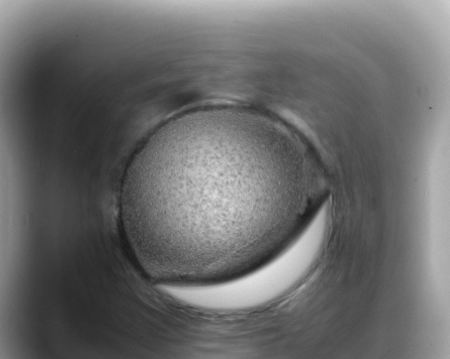 X0000088721355200706071611