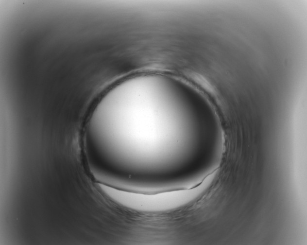 X0000088721356200706071611