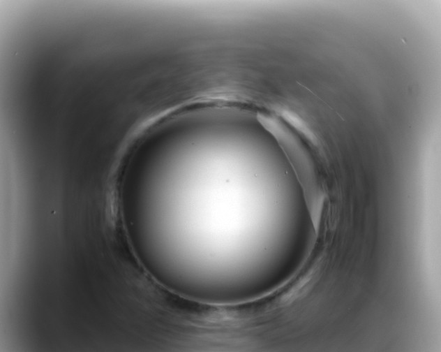 X0000088721358200706071611