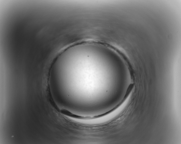 X0000088721359200706071611