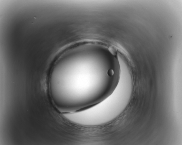 X0000088721360200706071611