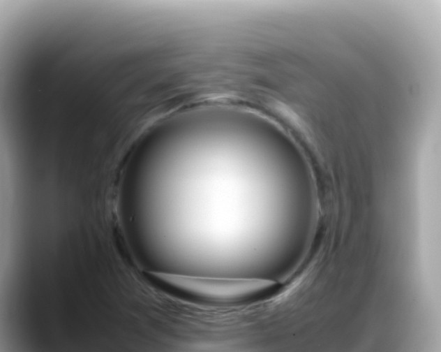 X0000088721361200706071611