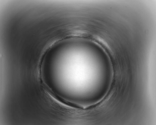 X0000088721362200706071611
