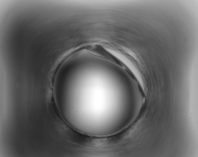 X0000088721363200706071611
