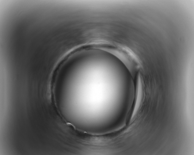 X0000088721364200706071611
