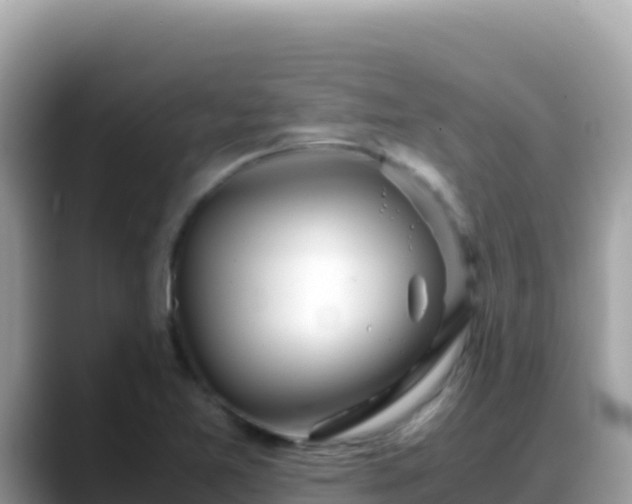 X0000088721365200706071611